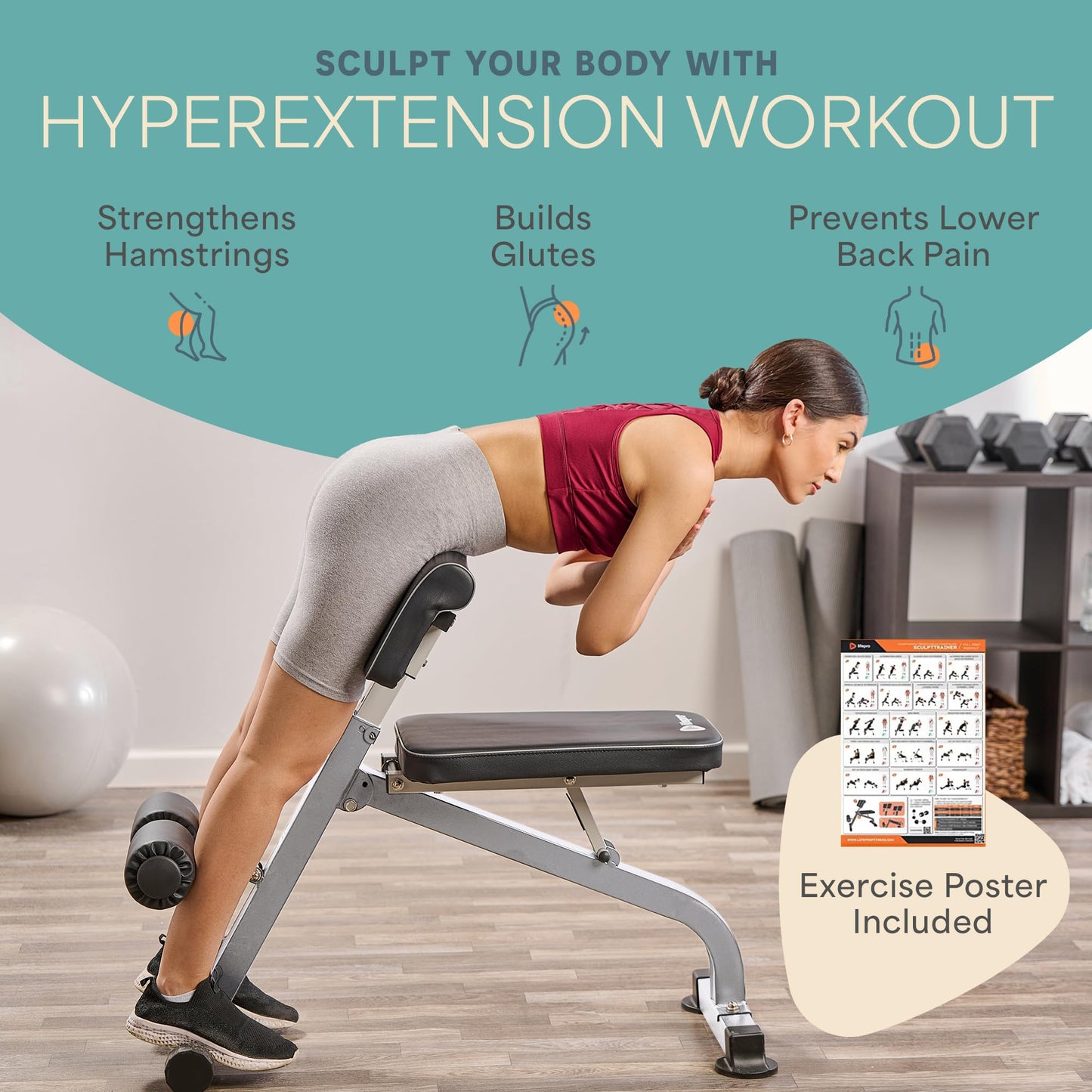 Lifepro SculptTrainer Roman Chair – Hyperextension Bench for Strength Training – Adjustable Back Extension Machine, Ab Bench & Foldable Sit-Up Bench for Athletes, Core Work & Home Gym Workouts