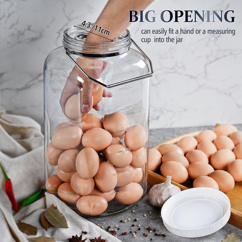 Folinstall 2 Gallon Large Glass Jar with Lid, Wide Mouth Storage Jars with Stainless Handle, Extra Big Glass Container with 2 Scale Mark for Storing Food, Kitchen Organization, 7400 ML/250 OZ