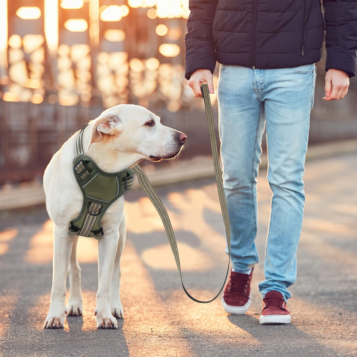 No Pull Dog Harness for Medium Dogs, Adjustable No Choke Pet Vest with Dog Leash Fit Smart Reflective Pet Walking Harness for Training Easy Control Soft Handle Green M