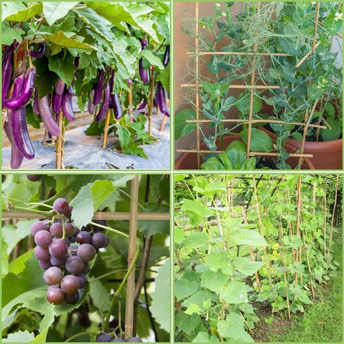 GAGINANG Bamboo Garden Stakes - 3FT Sturdy Natural Support for Climbing Plants | 25 Pcs Set