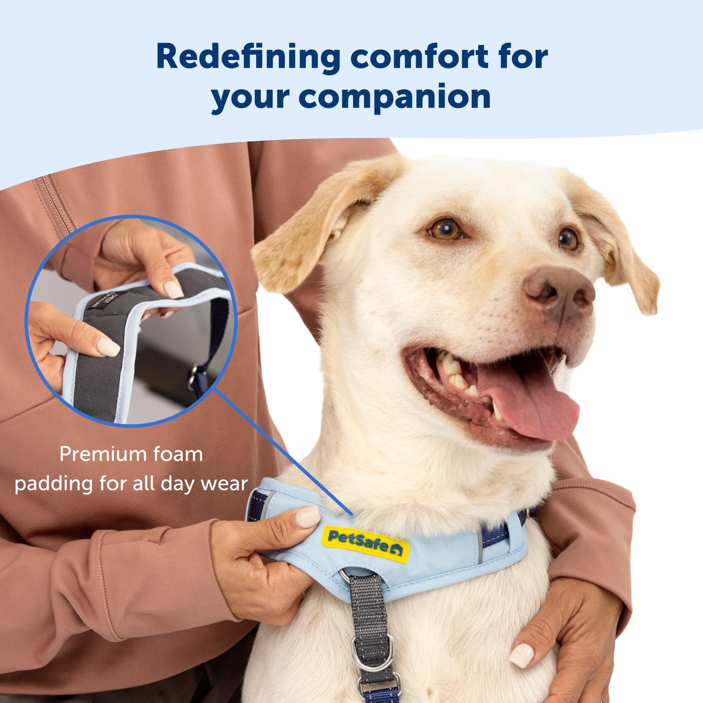 PetSafe Easy Walk Comfort No-Pull Dog Harness Full-Body Padding - Better Walks on The First Use - 5 Points of Adjustment Large, Green