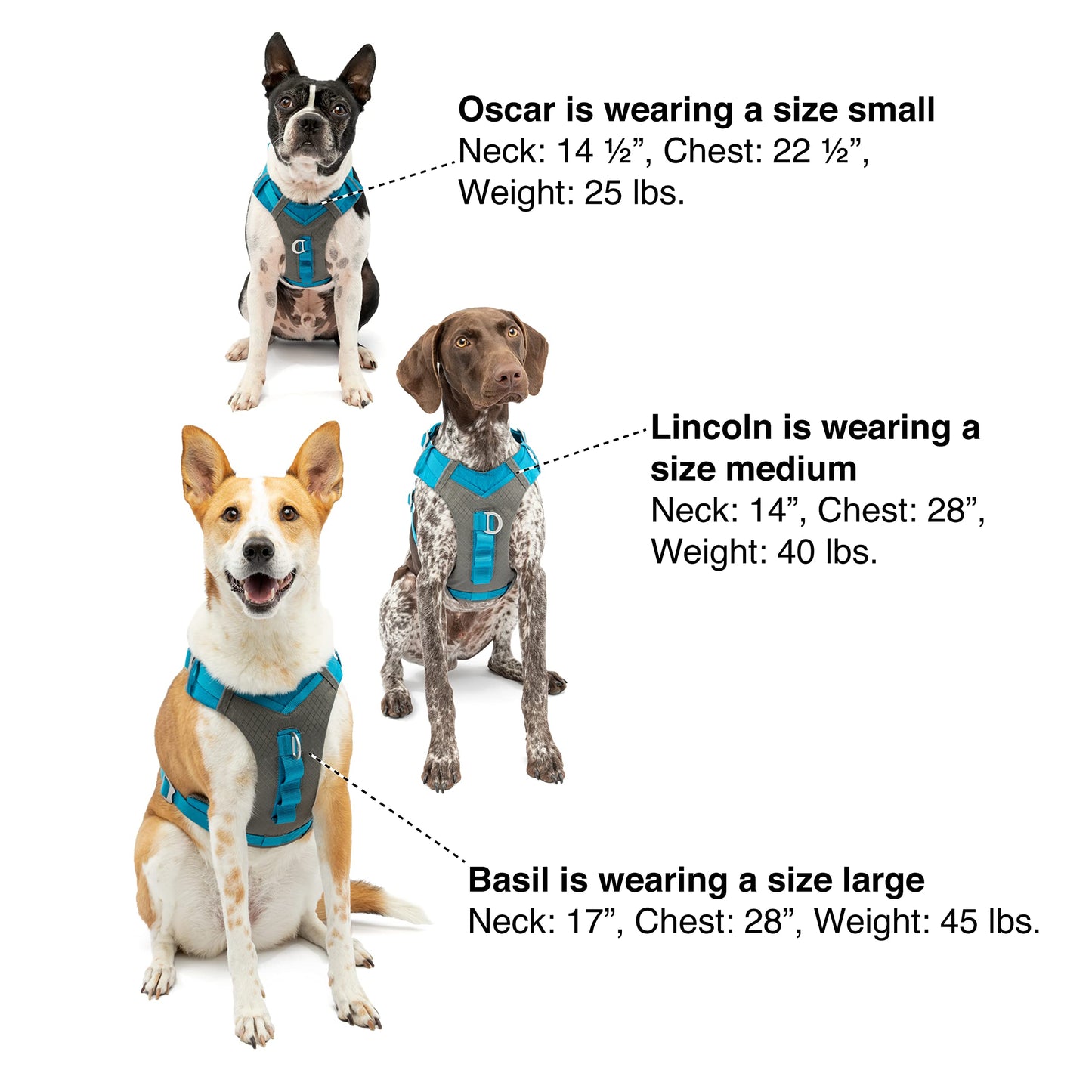 Kurgo Journey Air Dog Harness, Vest Harnesses for Dogs, Pet Hiking Harness for Running & Walking, Reflective, Padded, Includes Control Handle, No Pull Front Clip (Coral, Medium)