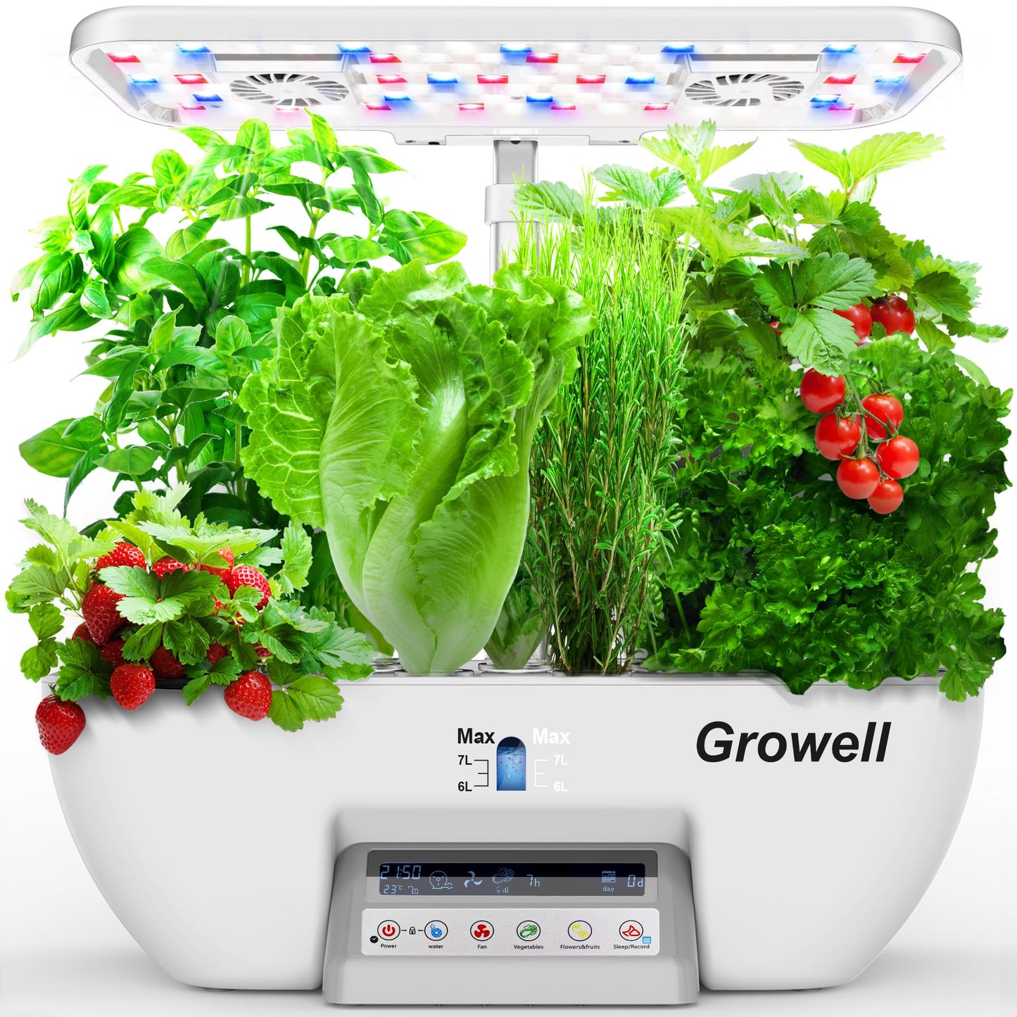 Growell 17 Pods Hydroponics Growing System Kit & 240 Pcs Hydroponic Pods Kit