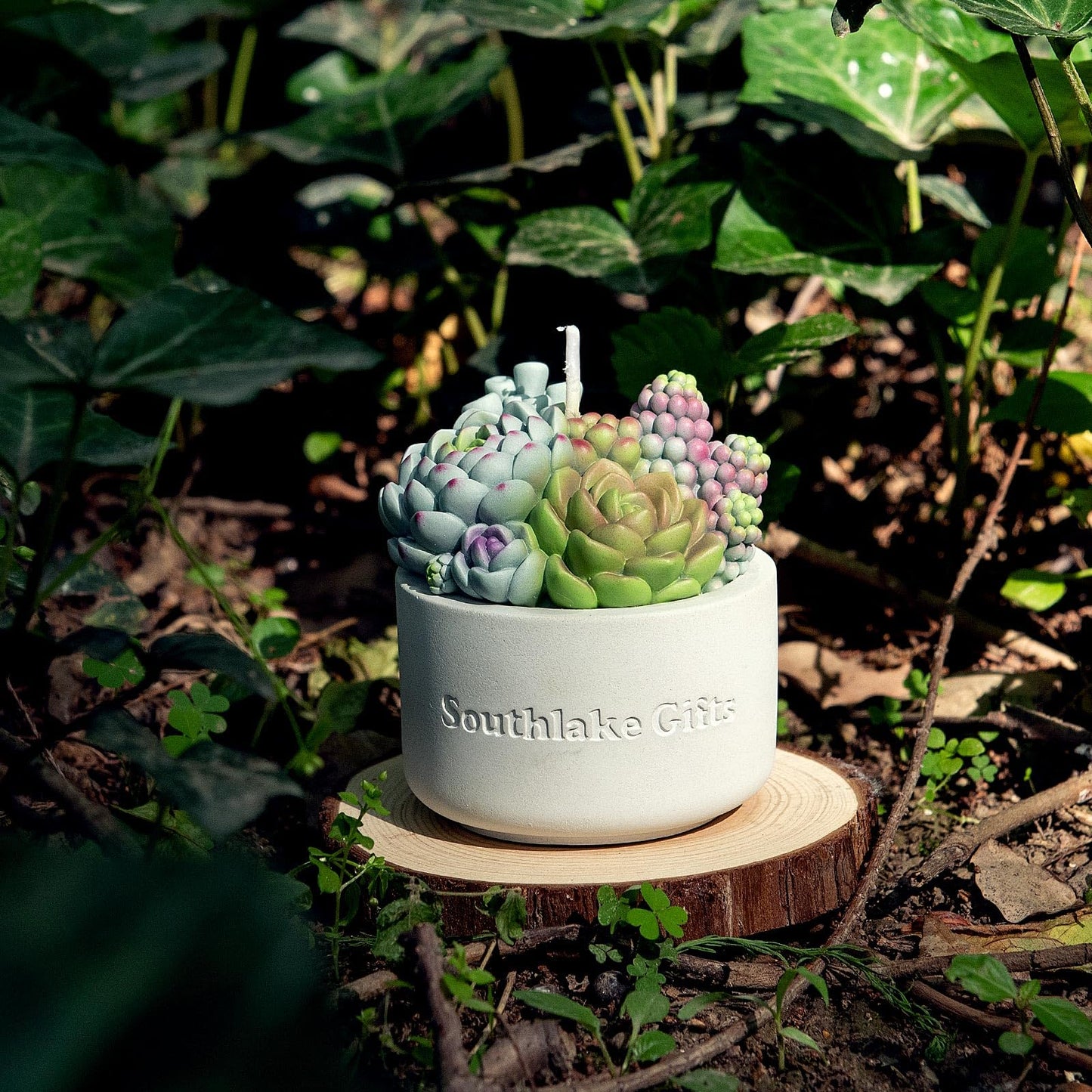 Assorted Succulent Pot Scented Vegetable Wax Candle for Spa Home Decoration Wedding Gift