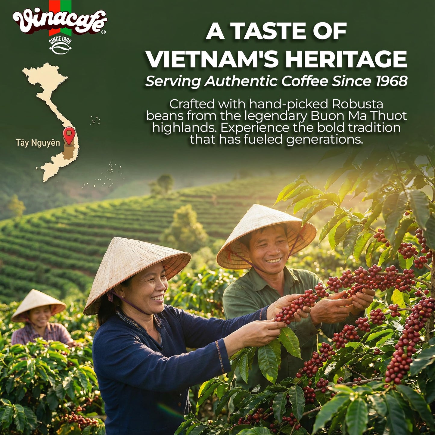 Vinacafe Instant Coffee Packets 3 in 1 Authentic Vietnamese Taste, Balanced Medium Roast Coffee Mix for Quick Preparation at Home, Office or Travel, Single Serve Sachets (Pack of 4 | 20 Sachets Per Bag)