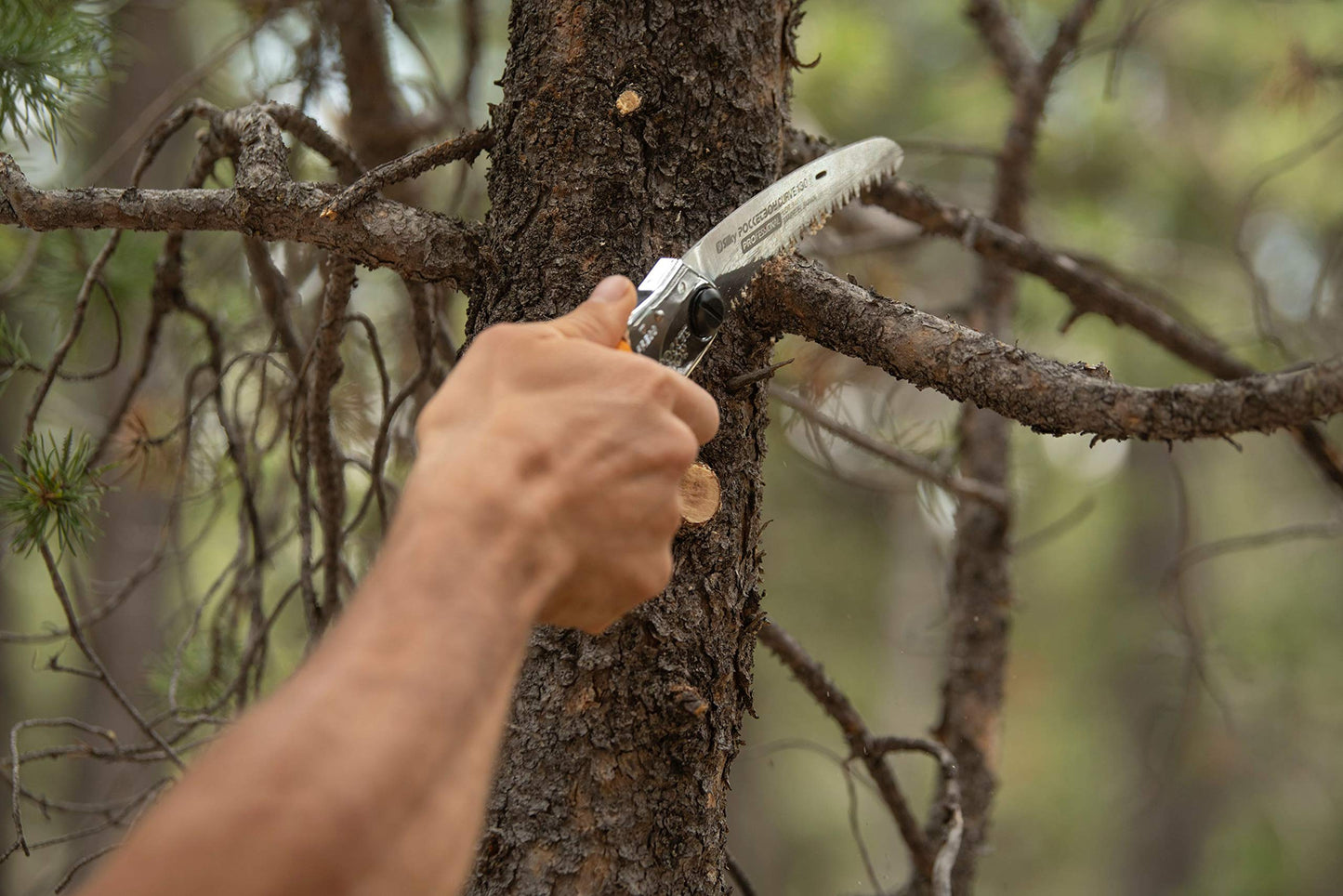 Silky Professional Series PocketBoy Curved Blade Folding Saw 130mm Large Teeth (726-13)