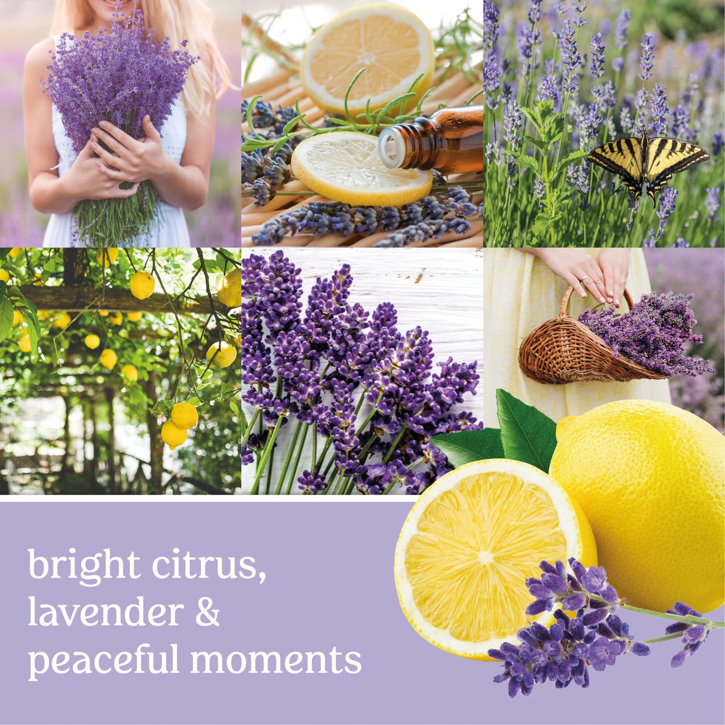 Yankee Candle Lemon Lavender Scented Classic 22oz Large Tumbler 2-Wick Candle Over 75 Hours of Burn Time Ideal for Home Decor or Gifts