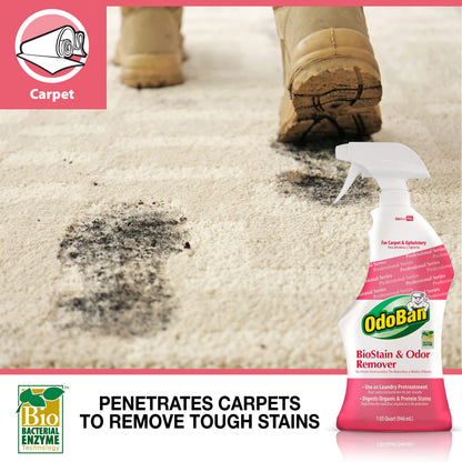 OdoBan Professional Cleaning BioStain and Odor Remover for Carpet and Upholstery, Made in the USA, 32 oz Ready-to-Use Spray 12-Pack