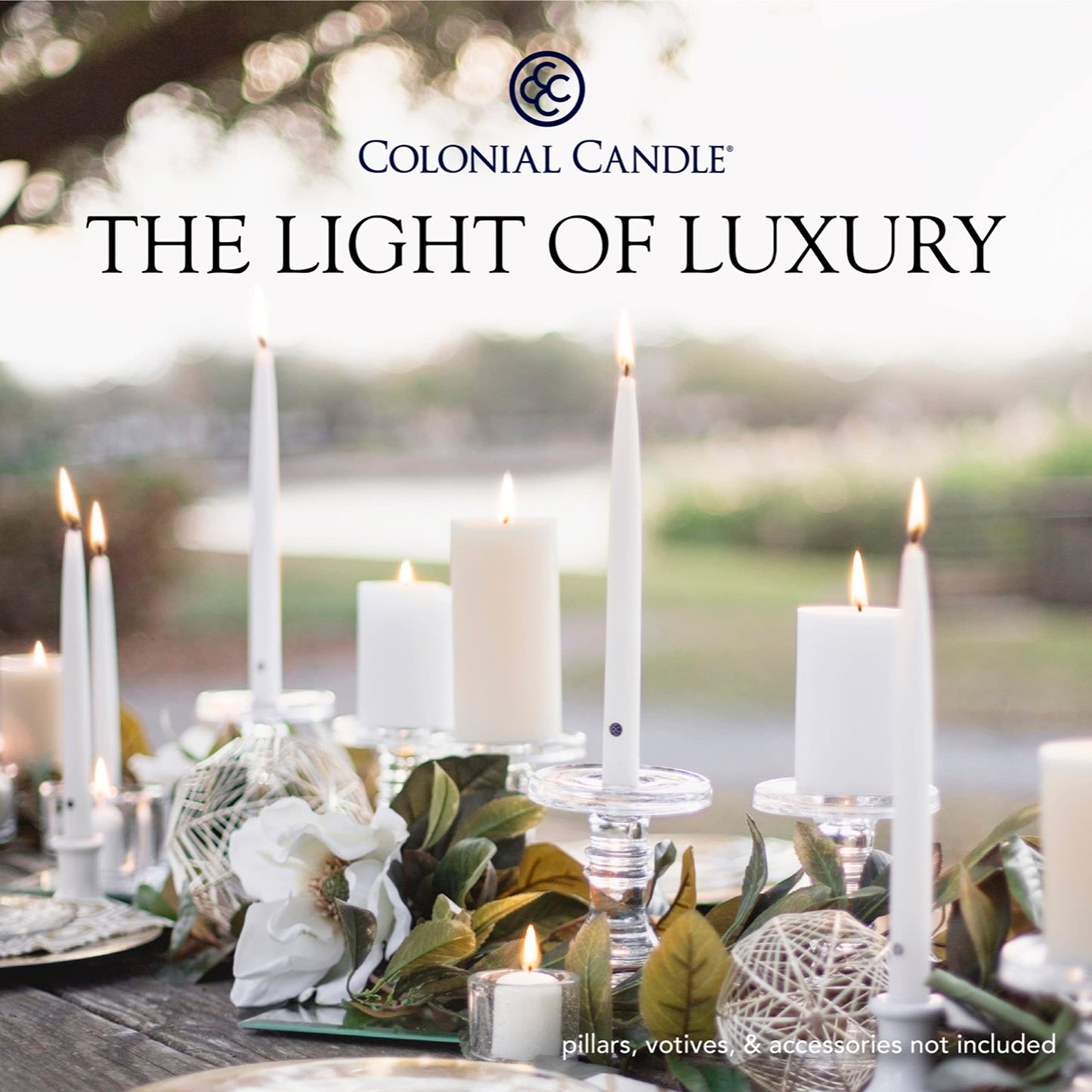 Colonial Candle Unscented Taper Candle, Classic Collection, Ivory, 8 In, Pack of 12 - Up to 6 Hours Burn