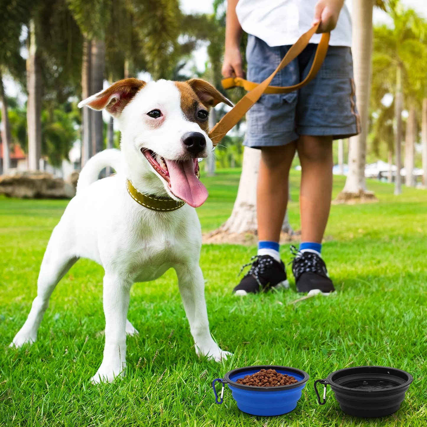 2-Pack Small Dog Travel Bowl, Collapsible Bowls for Dogs, Foldable Cat Water Bowl, Portable Pet Feeding Watering Traveling Dish (Black & Orange)