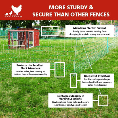 RentACoop Poultry Netting Electric Fence - Electric Poultry Enclosure for Chickens, Ducks, Turkeys - Suitable for 4 Week Old Chickens/Older and Adult Poultry - Energizer Not Included - 168' L x 48" H