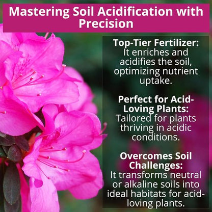 GardenWise 8-4-8 Acidic Fertilizer - Iron-Rich Plant Food for Azaleas, Hydrangeas & More | 12 OZ
