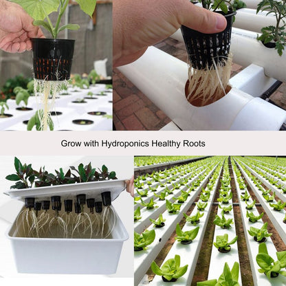 ORIMERC 2 inch Net Cups Pots 30 Pack with 30 feet Self Watering Wick & 30 Plant Labels for Hydroponics Aquaponics Planter Indoor Outdoor Growing Baskets Slotted Mesh UV Resistant & BPA Free