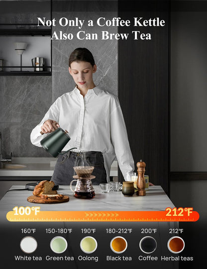 KLEAH Gooseneck Electric Kettle with Temperature Control - 0.8L Automatic Shut Off Tea & Coffee Kettle, Hot Water Boiler Pour Over Coffee Kettle, 1200W Quick Heating Keep Warm, Green