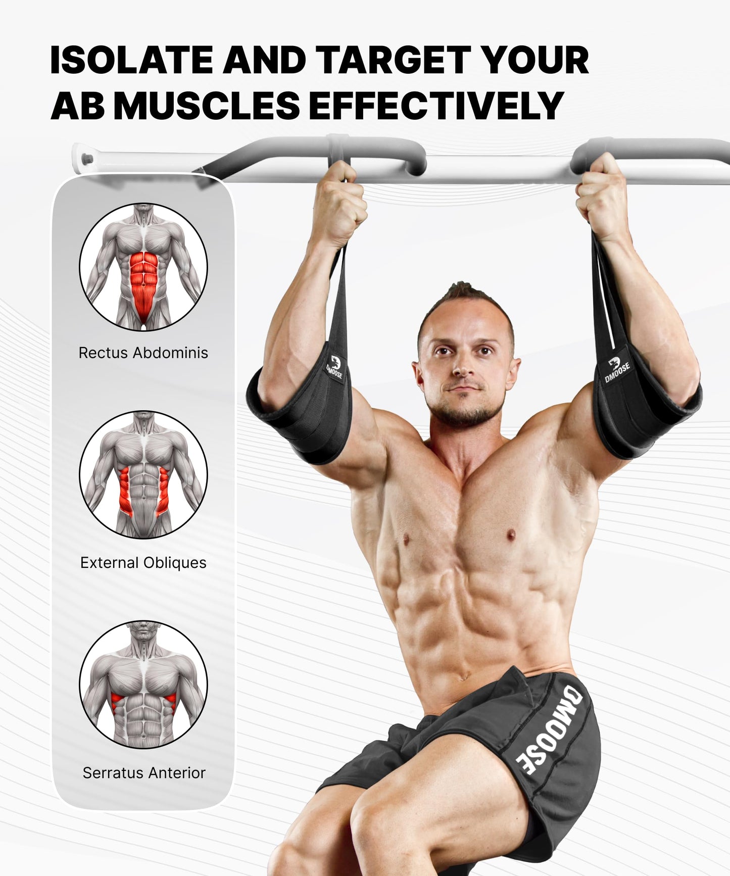 DMoose Fitness Hanging Ab Straps for Pull Up Bar & Core Strength Training - Soft Padded Exercise Straps for Ab Swing & Leg Raises, Hang Bar Strap with 2 Steel Carabiners - Abs Equipment for Home & Gym