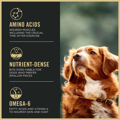 Purina Pro Plan High Protein Dog Food, Small Bites, SPORT 27/17 Lamb and Rice Formula - 6 lb. Bag