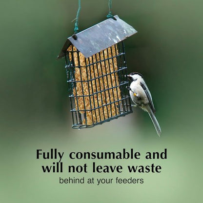 C&S Pecan Delight Suet Cakes - No Melt Formula for Wild Birds | 11.75 Ounces, Pack of 8