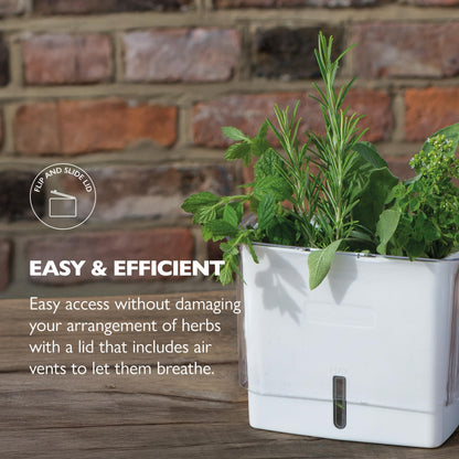 Cole & Mason Fresh Herb Keeper - Acrylic Storage Container for Refrigerator - Storage for Herbs & Vegetables for Fridge - Fresh Herb Keeper