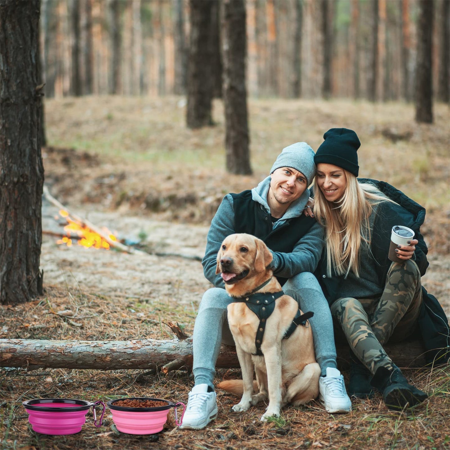Dog Bowl Pet Collapsible Bowls, 2 Pack for Cats Dogs, Portable Pet Feeding Watering Dish for Walking Parking Traveling with 2 Carabiners (Small, Blue+Green)