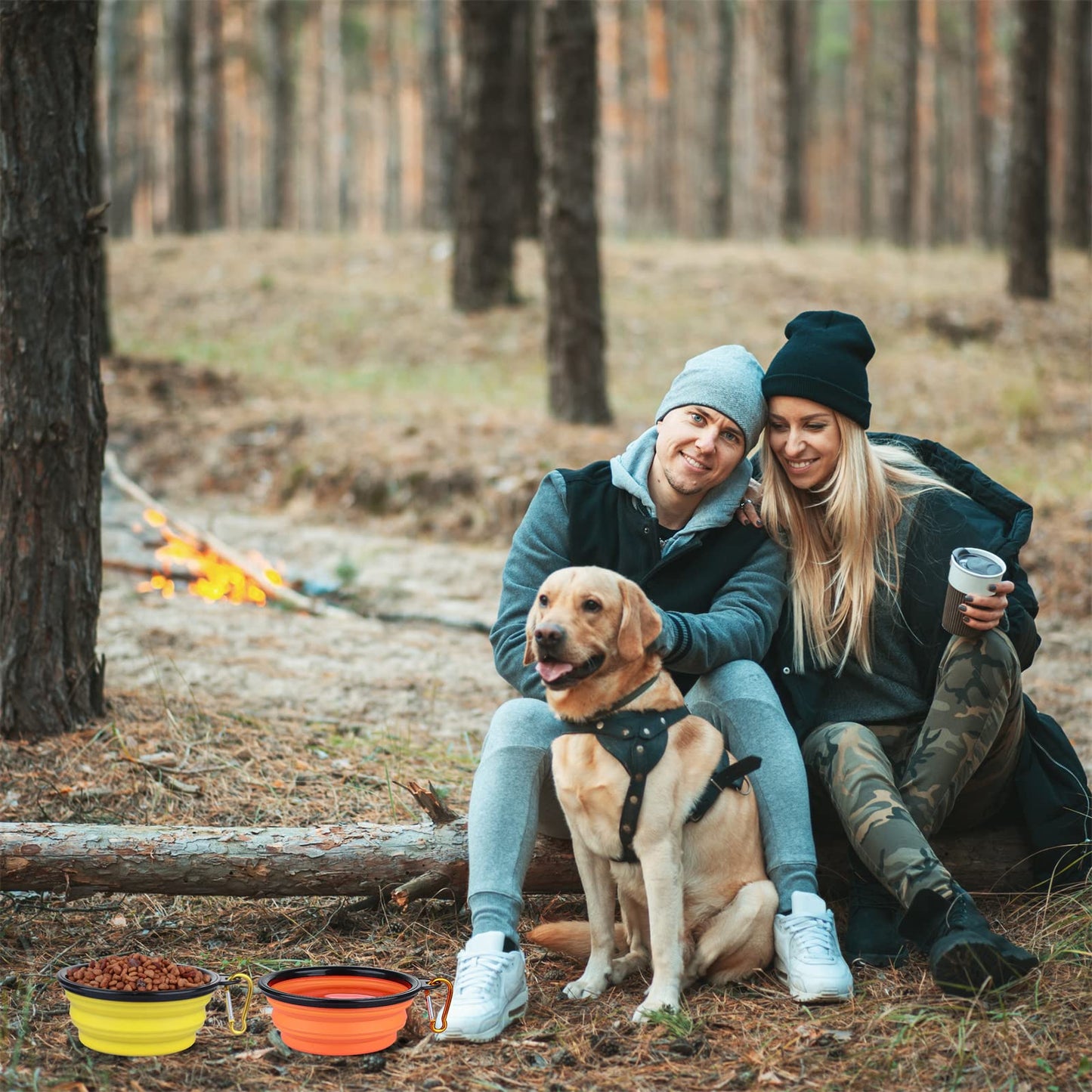 Dog Bowl Pet Collapsible Bowls, 2 Pack for Cats Dogs, Portable Pet Feeding Watering Dish for Walking Parking Traveling with 2 Carabiners (Small, Blue+Green)