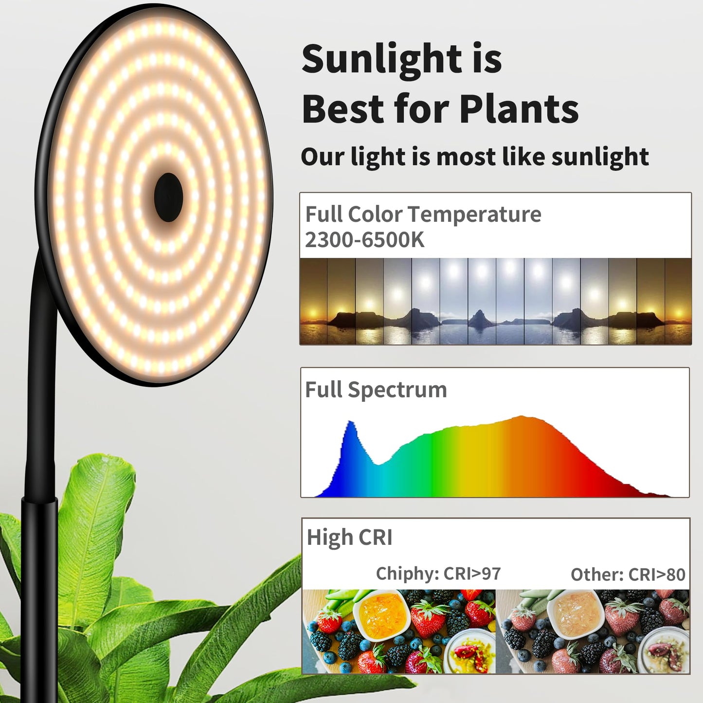 chiphy Grow Lamp, 60W Full Spectrum Grow Lights for Indoor Plants, 4/8/12H Timer, 2300K-6500K, 10 Dimmable Brigntness, 76'' Height Adjustable, Remote Control, Ideal for Tall Large Plants