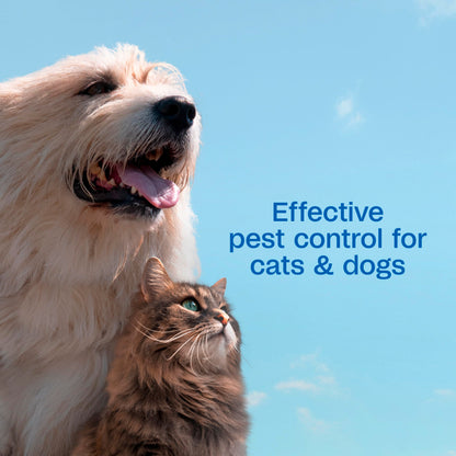 ADAMS Plus Flea & Tick Shampoo with Precor IGR for Cats, Kittens, Dogs & Puppies Over 12 Weeks Of Age, Sensitive Skin Flea Treatment, Kills Adult Fleas, Flea Eggs, Ticks, and Lice, 6 Ounces