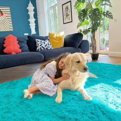 OLANLY Large Area Rug - Soft Fluffy Shaggy Carpet for Living Room & Bedroom | 5x8 Teal Blue