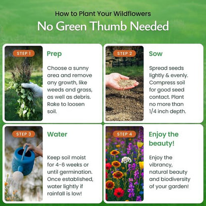 Created By Nature Wildflower Seed Mix - 20 Flower Varieties | 60,000+ Seeds for Vibrant Gardens