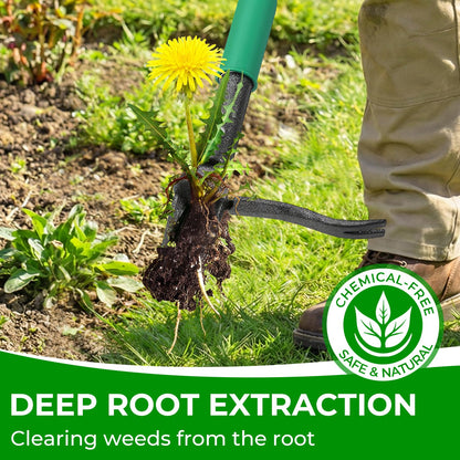 Allsetool Weed Puller Tool with 2 Weed Eject Feature, 43.7in Stand Up Dandelion Remover Tool, Real Bamboo Handle and Metal 4 Claw & Foot Pedal, Heavy Duty Garden Weeder
