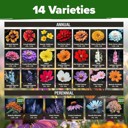 HOME GROWN Premium Monarch Butterfly Wildflower Seeds Mix - 20,000+ Non-GMO Milkweed Seeds for Pollinator Gardens | 2oz Perennial Flower Blend