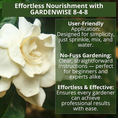GardenWise 8-4-8 Acidic Fertilizer - Iron-Rich Plant Food for Azaleas, Hydrangeas & More | 12 OZ