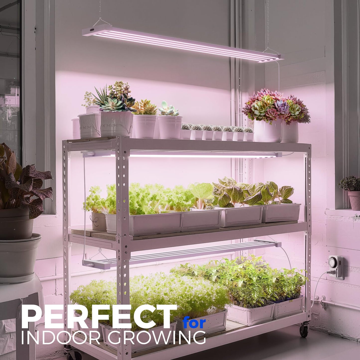 Barrina TX-L84 4FT LED Grow Light, 336W (4 x 84W), 4 Panel Wider Coverage, Full Spectrum, High PPFD, Mechanical Timer, Linkable, Hanging Light, Plant Stand with Grow Light for Indoor, Seeding, 4 Packs