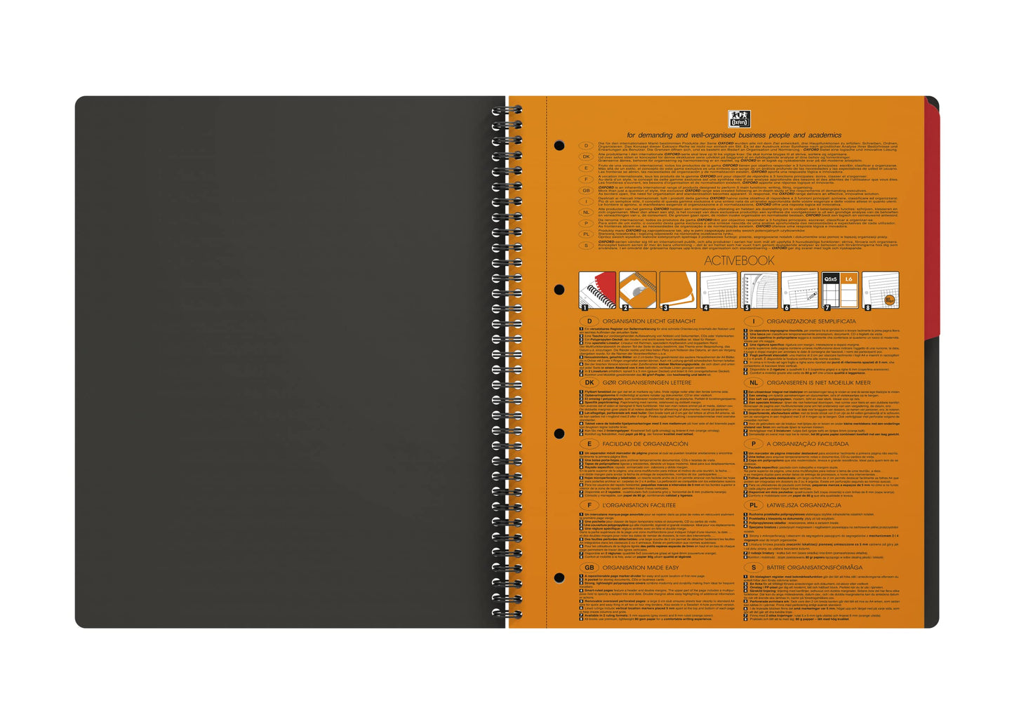 OXFORD 100104329 Activebook International A4 + Checkered with Indexable Index and Document Pocket Gray Spiral Notebook Block - a Smart Organization for Managers and Executives