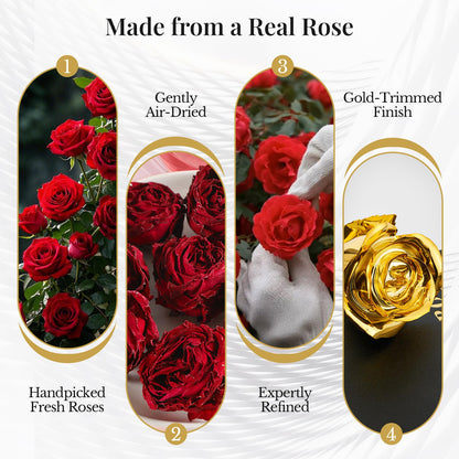 CIAPSK 24K Gold Dipped Rose Gift Set – Luxury Eternal Golden Rose with Interlocking Acrylic Butterfly Display Base & Premium Book-Style Gift Box – Romantic Anniversary & Birthday Gift for Her