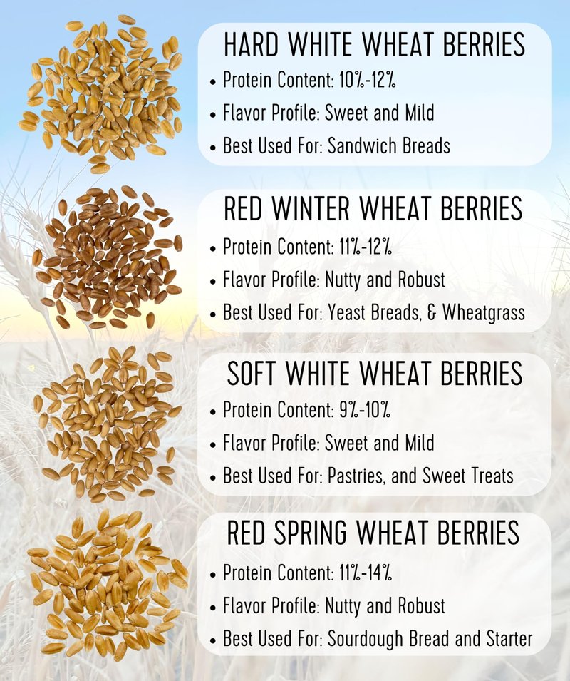 Palouse Brand Certified Glyphosate Residue Free Hard White, Soft White, Red Spring and Winter Wheat Berries | 20 LBS | Non-GMO Project Verified | Kosher (4-5 lb bags each)