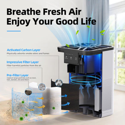 AROEVE Air Purifiers for Bedroom Air Purifier With Aromatherapy Function For Pet Smoke Pollen Dander Hair Smell 20dB Air Cleaner For Bedroom Office Living Room, MK06- Black(Available for California)