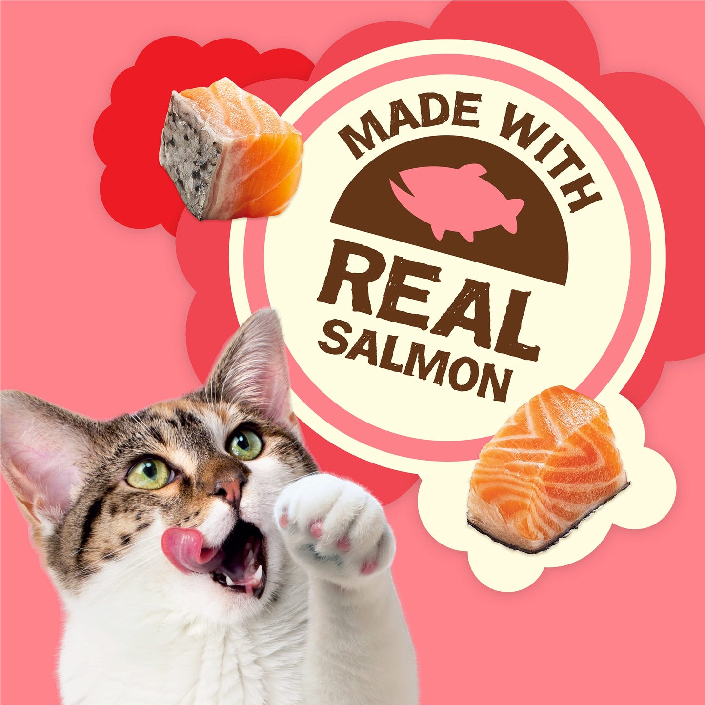 Purina Friskies Natural Cat Treats, Party Mix Natural Yums With Real Salmon and Vitamins, Minerals & Nutrients - (Pack of 10) 2.1 Oz. Pouches
