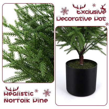 ENVEN PreLit Artificial Norfolk Pine Christmas Tree – Realistic Potted Tree with 70 LED Lights & 8-Mode Battery Box, Pre-Assembled Faux Holiday Decor for Indoor Display (3FT-1Pack)