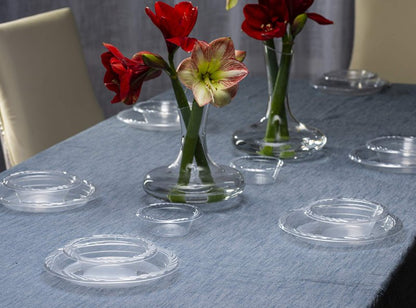 PLASTICPRO 9'' inch Premium Crystal Clear Disposable Plastic Dinnerware Party Plate Pack of 160