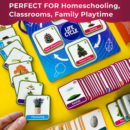 QUOKKA Life CycleToys for Kids - 30 Flashcards Toddler Science Kit Ages 2-4 - Pre-k Plant Animals Nature Learning Materials 3-5 - 120 Magnetic Flash Cards for Preschool and School (Part 2)