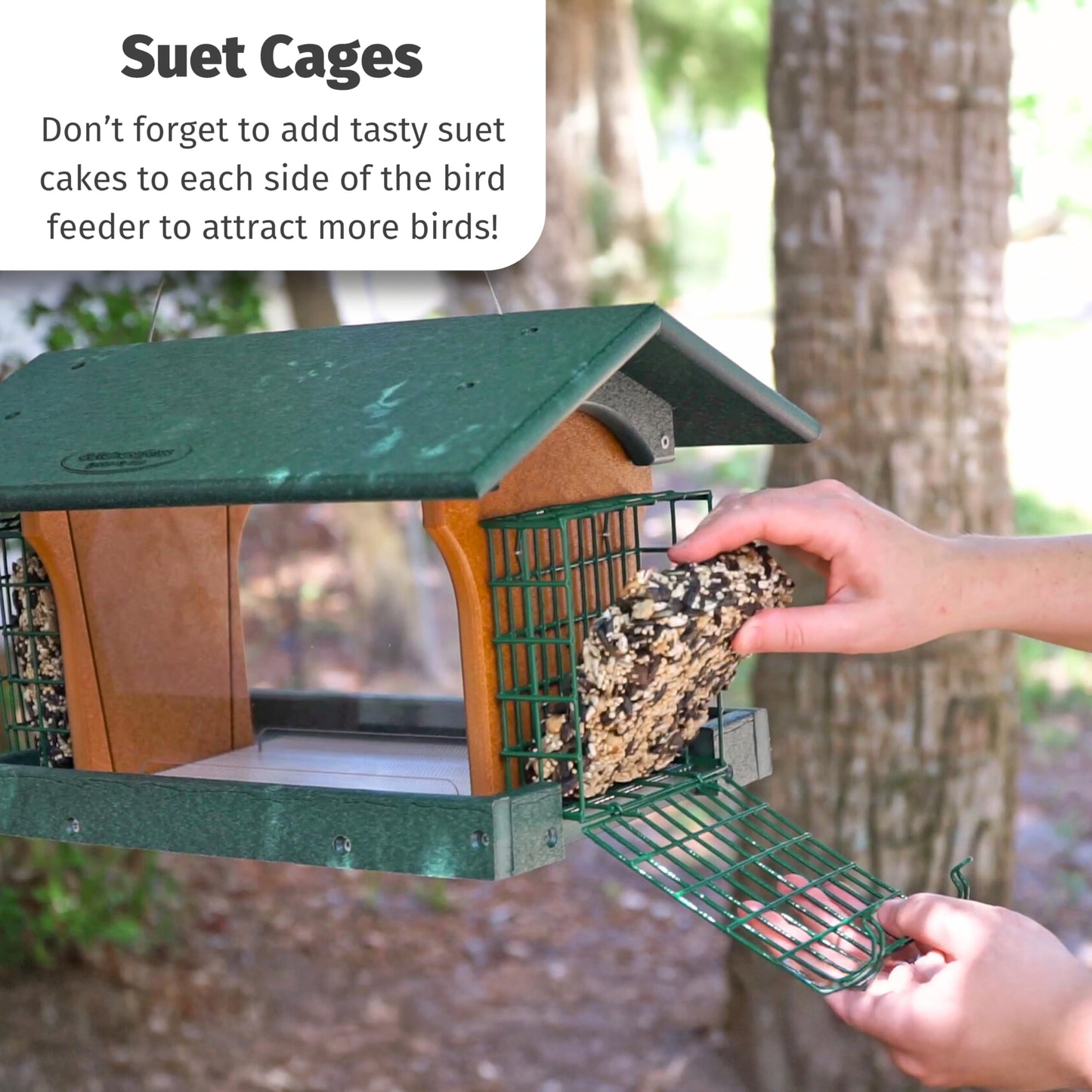 DutchCrafters Poly Hanging Large Hopper Bird Feeder with Two Suet Cake Holder Cages, Durable Long Lasting Outdoor Bird Feeder - Amish American Made in USA (Black & Cedar)
