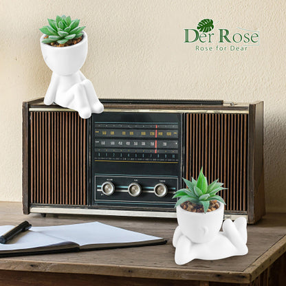 Der Rose Set of 2 Fake Plants Artificial Succulent Plants for Office Desk Accessories Bathroom Home Room Aesthetic Decor Indoor