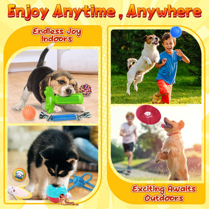 KIPRITII 25 Pack Various Puppy Dog Toys for Teething, Entertainment & Interaction, Puppy Chew Toys Pack with Rope Toy, Treat Balls and Dog Squeaky Toys for Puppies & Small Dogs
