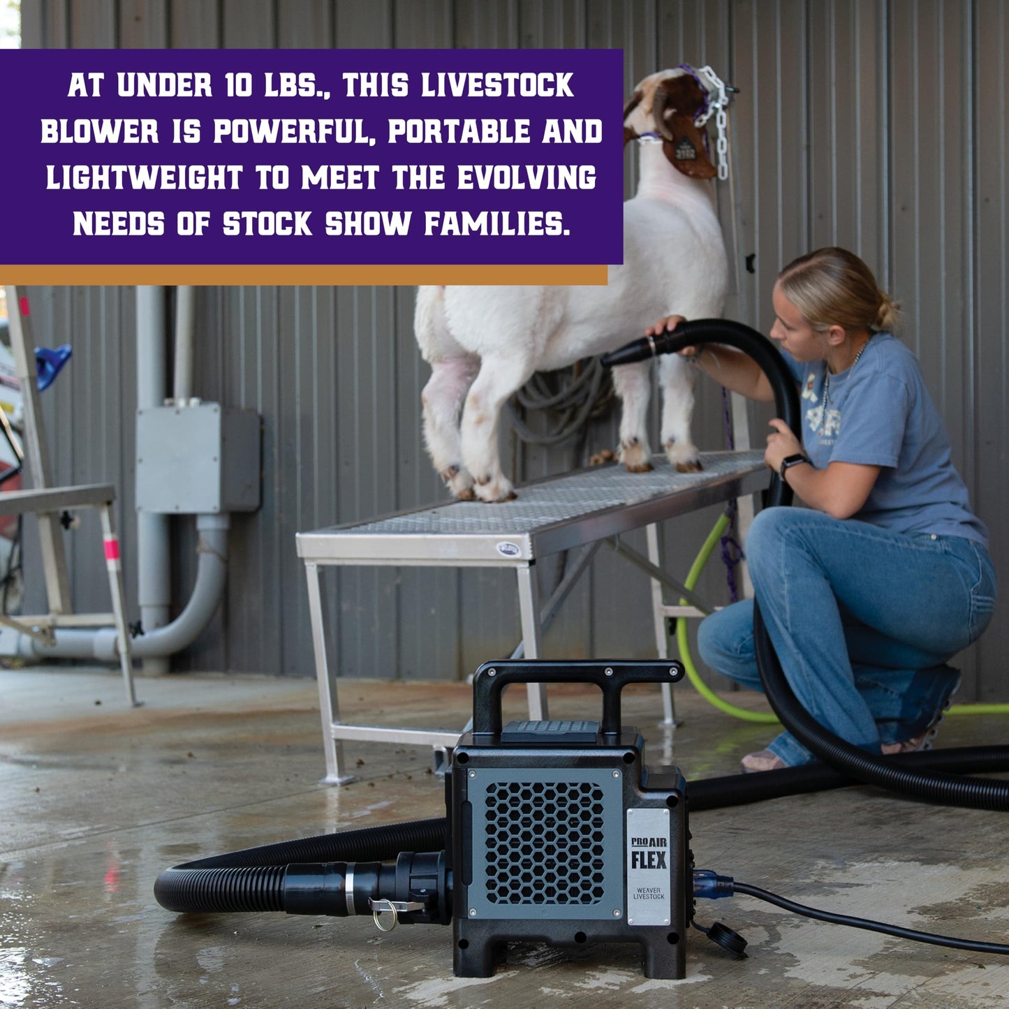 Weaver Livestock ProAir Livestock Blower, Robust Dryer System, Lightweight Blowers for Cows, Sheep, Goats and More
