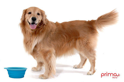 Prima Pet Expandable / Collapsible Silicone Food & Water Travel Bowl with Clip for Medium & Large Dog, Portable and Durable Pop-up Feeder for Convenient On-the-go Feeding, Size: 5 Cups (7 Inch Diameter Bowl) (LARGE (5 CUPS), AQUA)