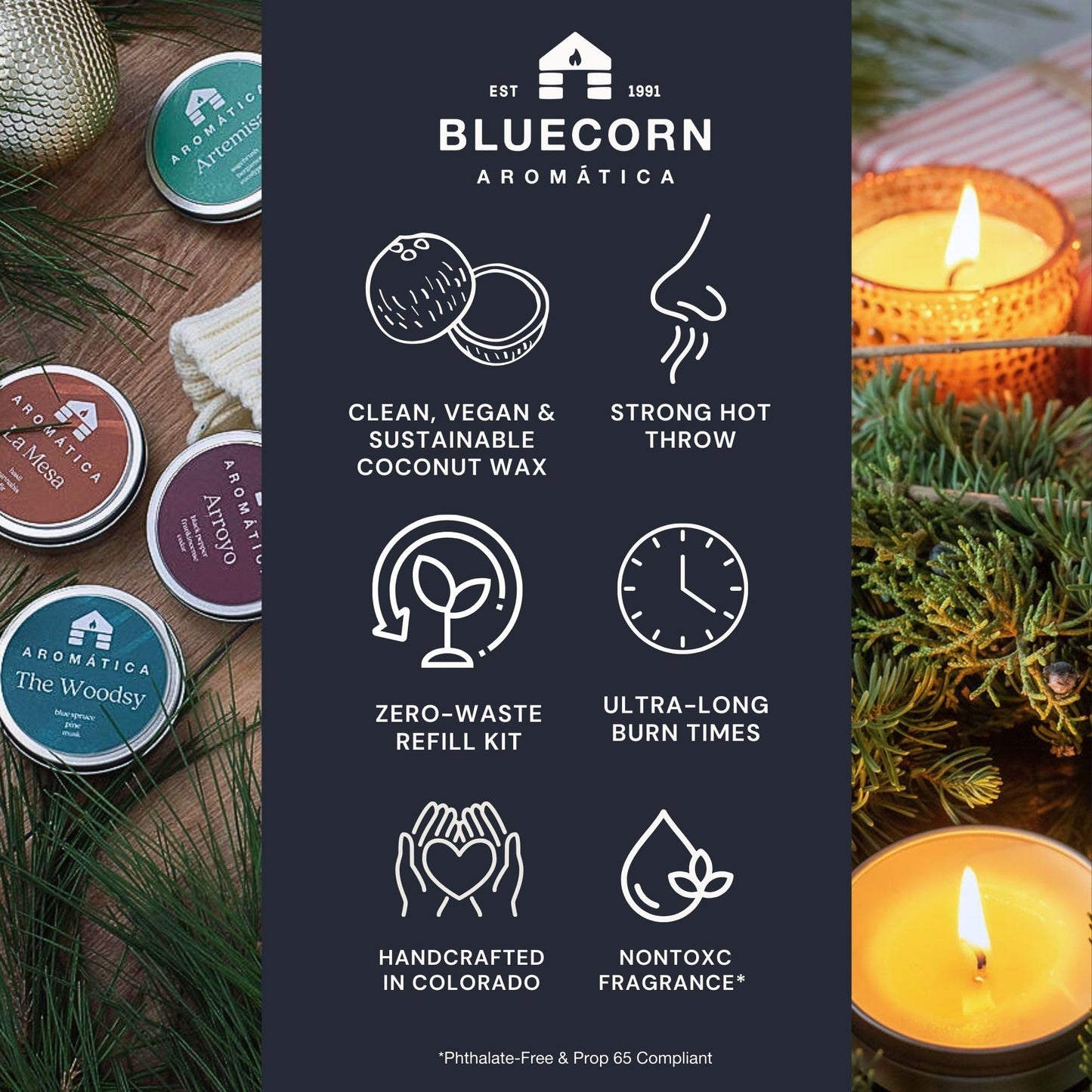 Bluecorn Aromática Scented Candle Tin, The Woodsy, Blue Spruce, Pine & Musk, Vegan Coconut Wax, Clean Burning & Long Lasting Christmas Tree Candle, Winter Home Decor, Gifts, Made in USA, 8 Oz