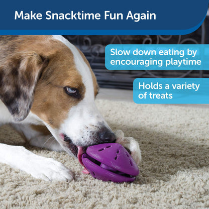 PetSafe Busy Buddy Twist 'n Treat Dispensing Dog Toy - Small