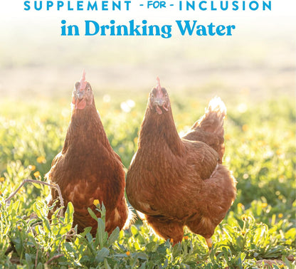 Manna Pro Hydro-Hen Poultry Electrolyte & Probiotic Supplement - Hydration Support for Chickens & Ducks | 20 oz