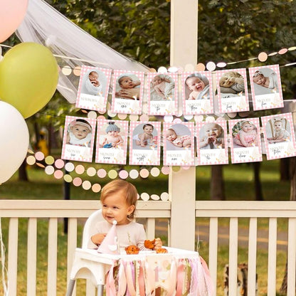 Pink One Silly Goose Photo Banner Silly Goose 1st Birthday Decor Girl for Newborn to 12 Months Picture Banner Goose First Birthday Party Supplies Monthly Milestones Frame