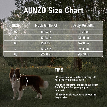 No Pull Dog Harness for Large Dogs with 2 Metal Clips, Easy On/Off with Neck Buckle, Heavy Duty Adjustable Puppy Vest, Breathable Pet Harness with Easy Control Handle, Green Ethnic L